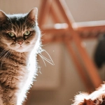 Философский подход к азартным играм и самопознанию