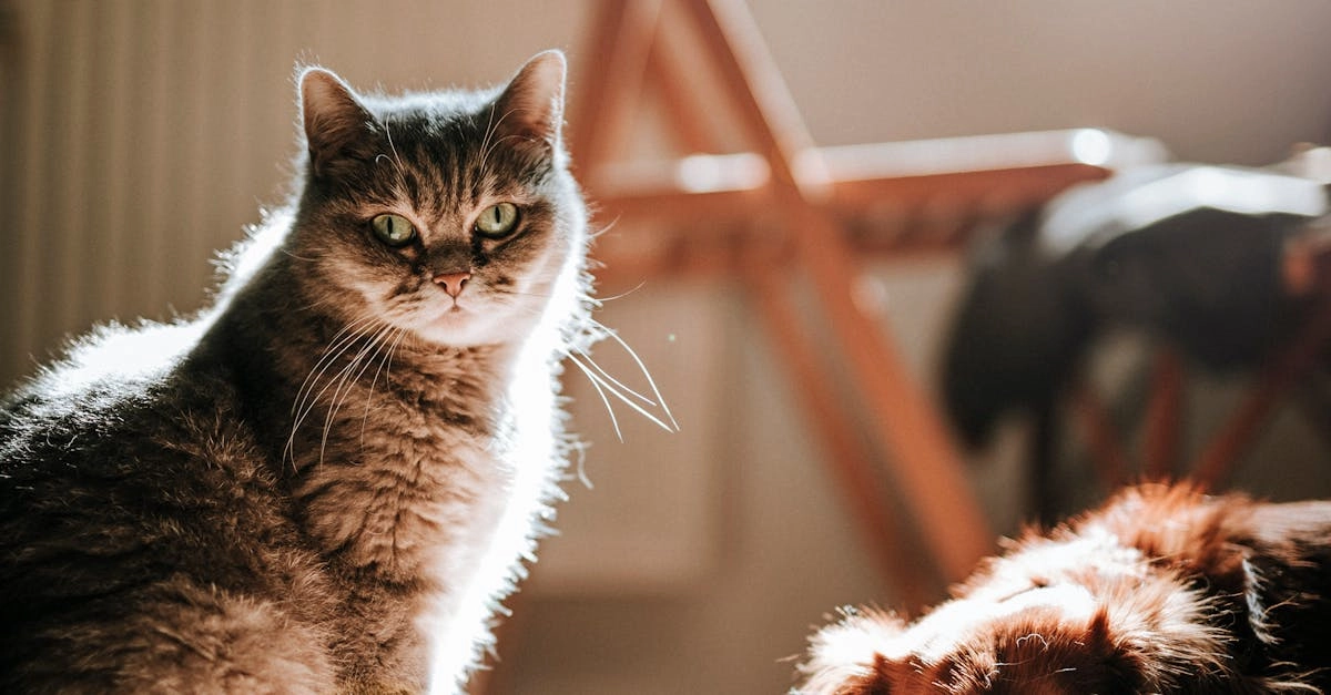 Философский подход к азартным играм и самопознанию