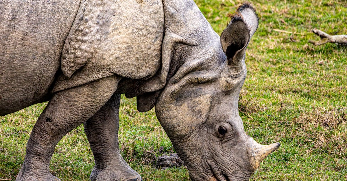 Индивидуальный подход к выбору слот-игр
